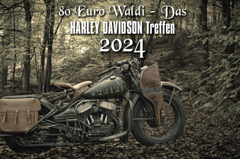 80 Euro Waldi - Meet & greet & das HARLEY DAVIDSON Treffen, Sonntag den 11.08.2024 ab 10.00 Uhr - Bild
